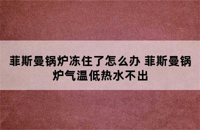 菲斯曼锅炉冻住了怎么办 菲斯曼锅炉气温低热水不出